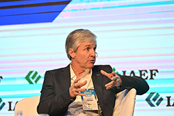 Imagen 201