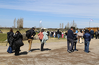 Imagen 18