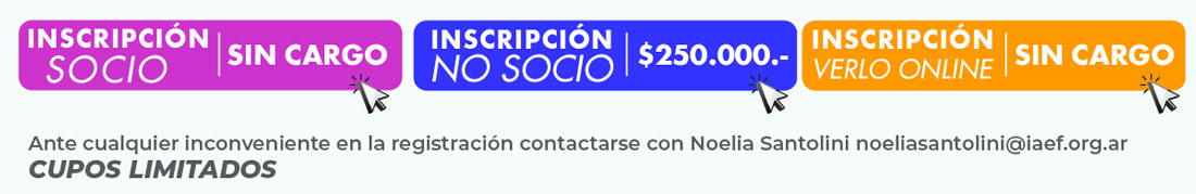 IAEF - Instituto Argentino de Ejecutivos de Finanzas