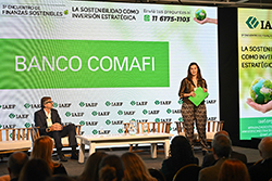 Imagen 74