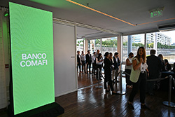Imagen 21