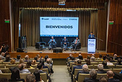 Imagen 30