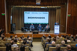 Imagen 31